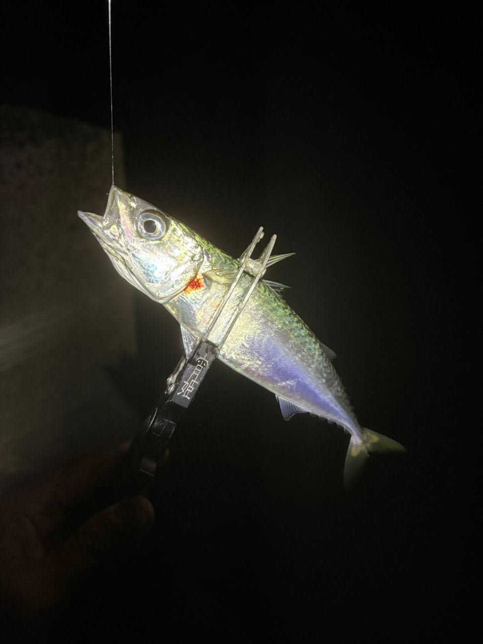 がまかつ ラグゼ　宵姫　華　S54FL-solid 4549018672299_1.jpg