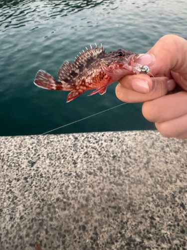 釣果