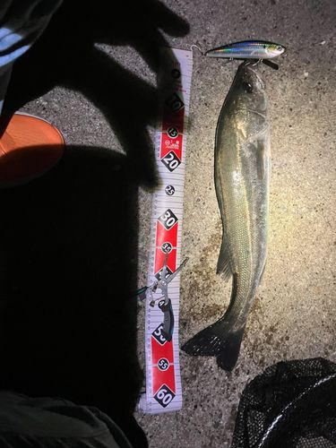 稲毛海浜公園