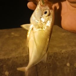 メッキ