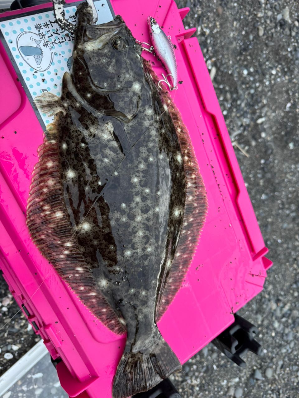 DAIWA 21ラブラックス AGS 96MLの最安値・インプレ・釣果 | 本音