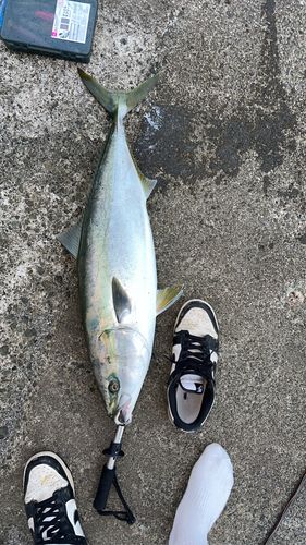 木負堤防