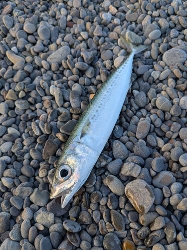 煙樹ヶ浜