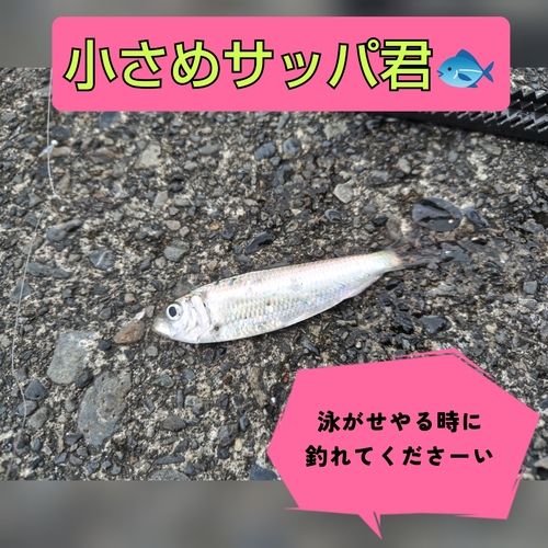 親水広場