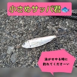 サッパ