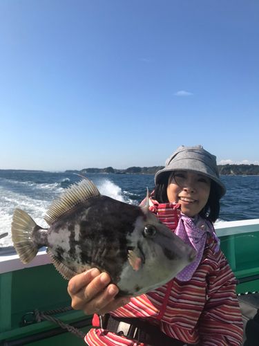 東京湾