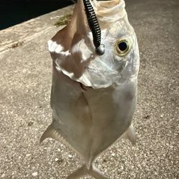 メッキ