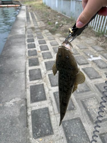 六郷橋