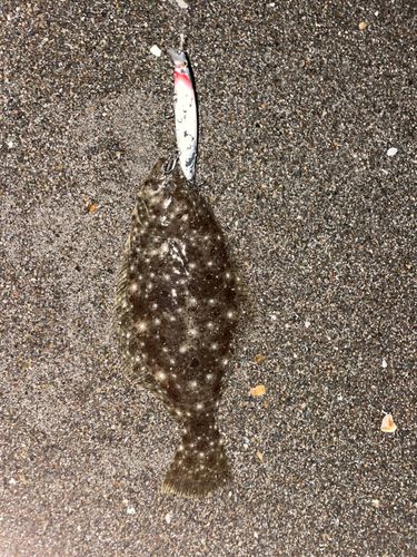 三陸海岸（青森）