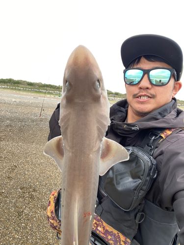 伊良湖サーフ