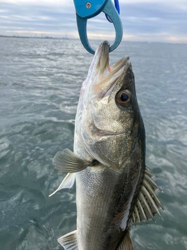 稲毛海浜公園