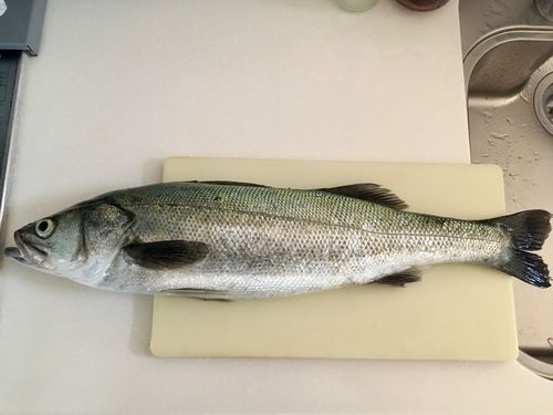 新舞子海岸（いわき）