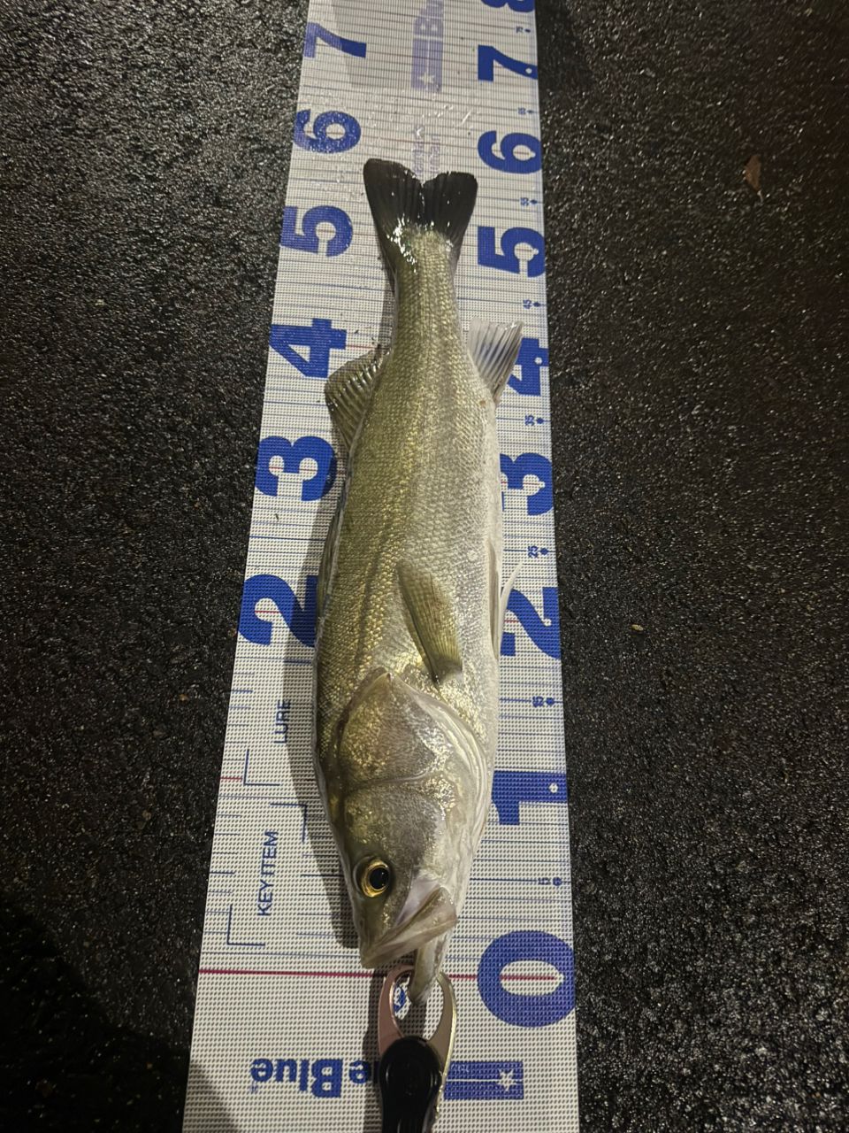 TENRYU スワット SW842S-LMLの最安値・インプレ・釣果 | 本音の口コミ