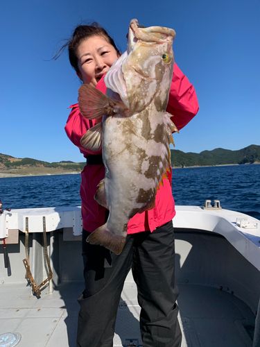 クエの釣果