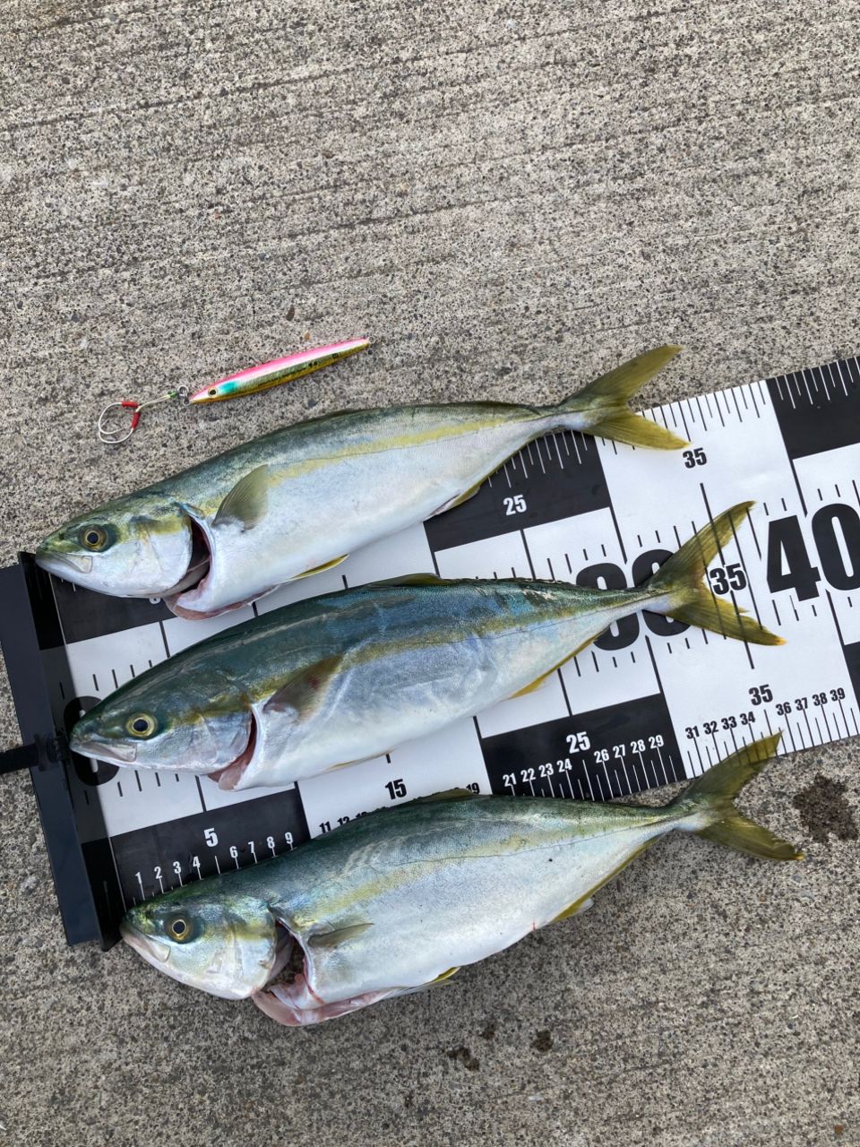 ショアジギングx96h ダイワ ショアジギング X 96H (ロッド・釣竿) 価格比較 - 価格.com