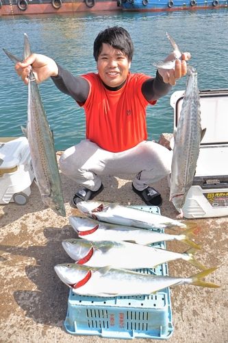 メジロの釣果