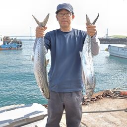 サワラ
