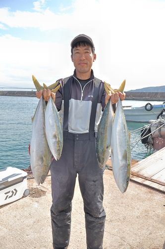 サワラの釣果