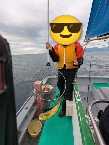 相模湾