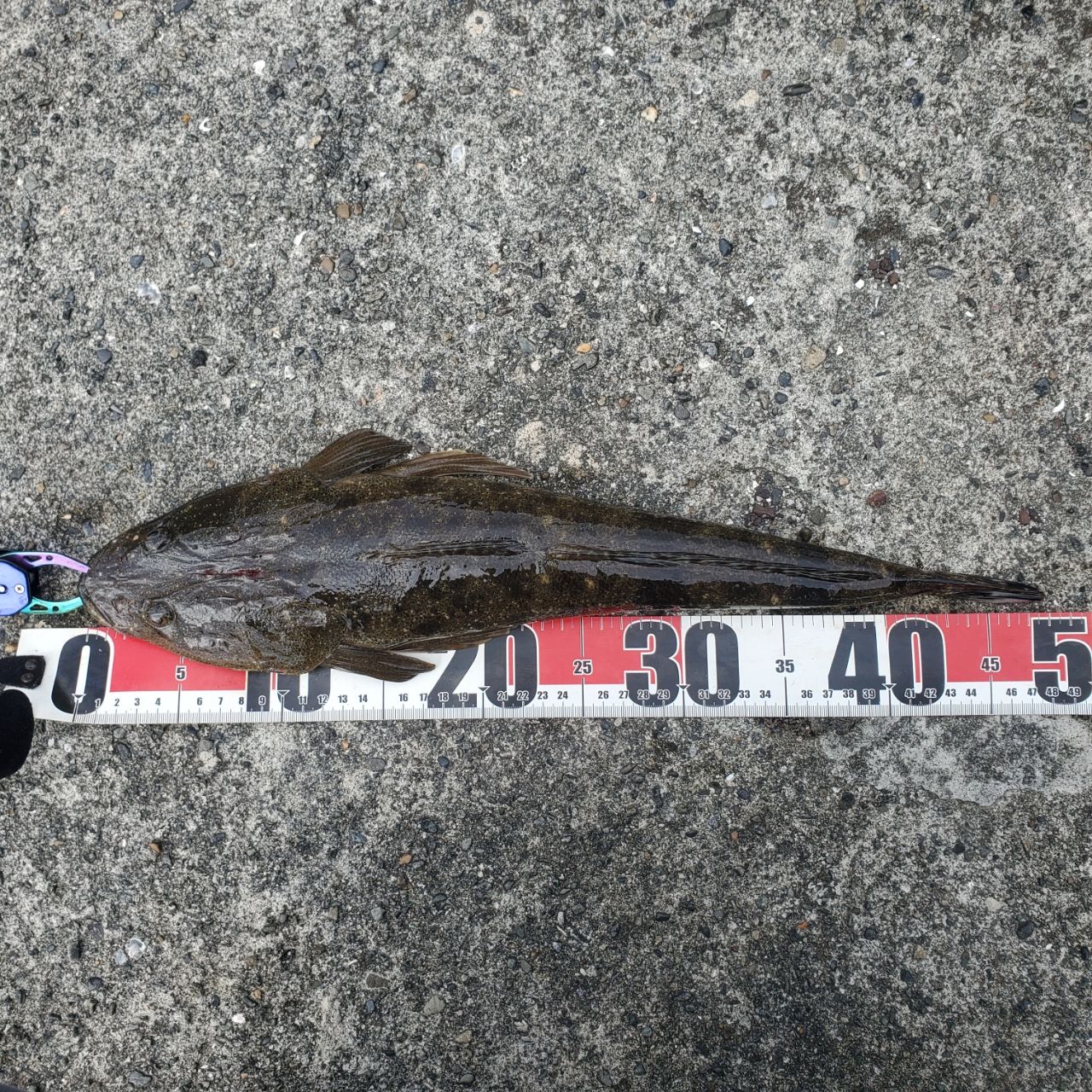 DAIWA 23シーバスフラット X 90MLの最安値・インプレ・釣果 | 本音の