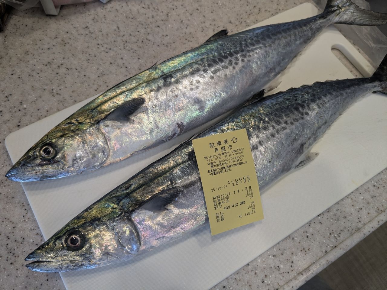 【美品】ダイワ　JIGCASTER. MX  96M Amazon.co.jp: Daiwa Rod Jig Caster MX 96M : Sports & Outdoors