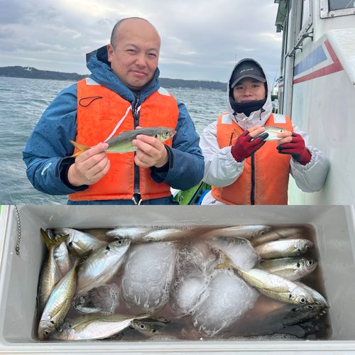 マアジの釣果