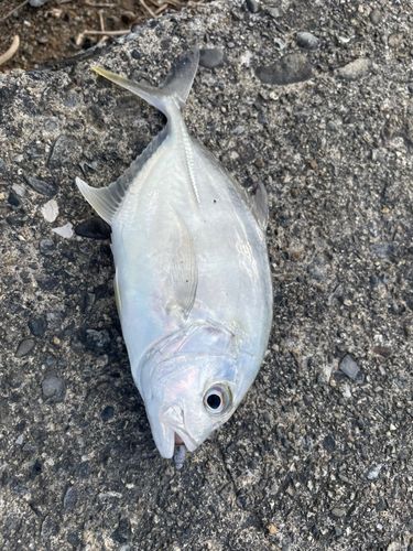 内ノ浦水門付近