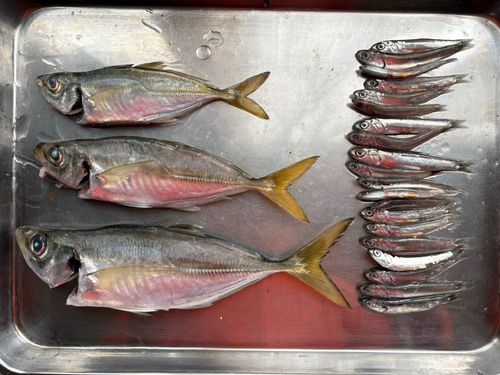 本牧海づり施設