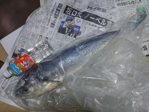 生月島