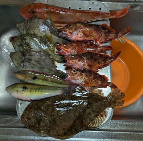 伊勢湾湾奥