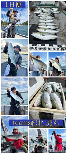 ブリの釣果
