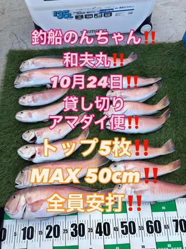 紀伊水道