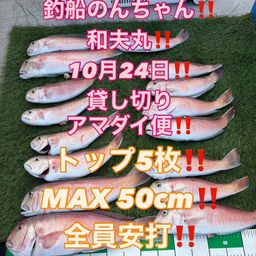 シロアマダイ
