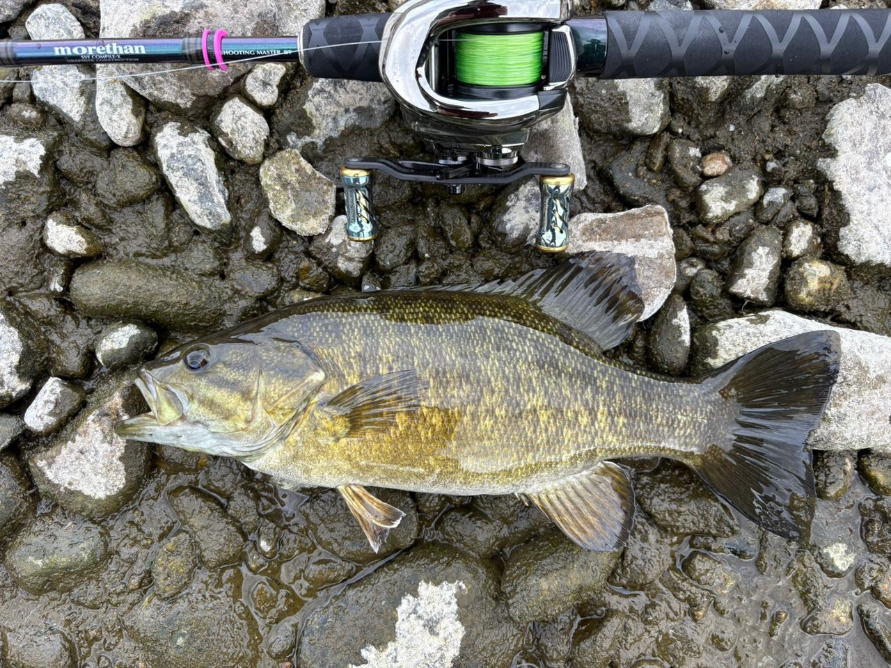 スモールマウスバス