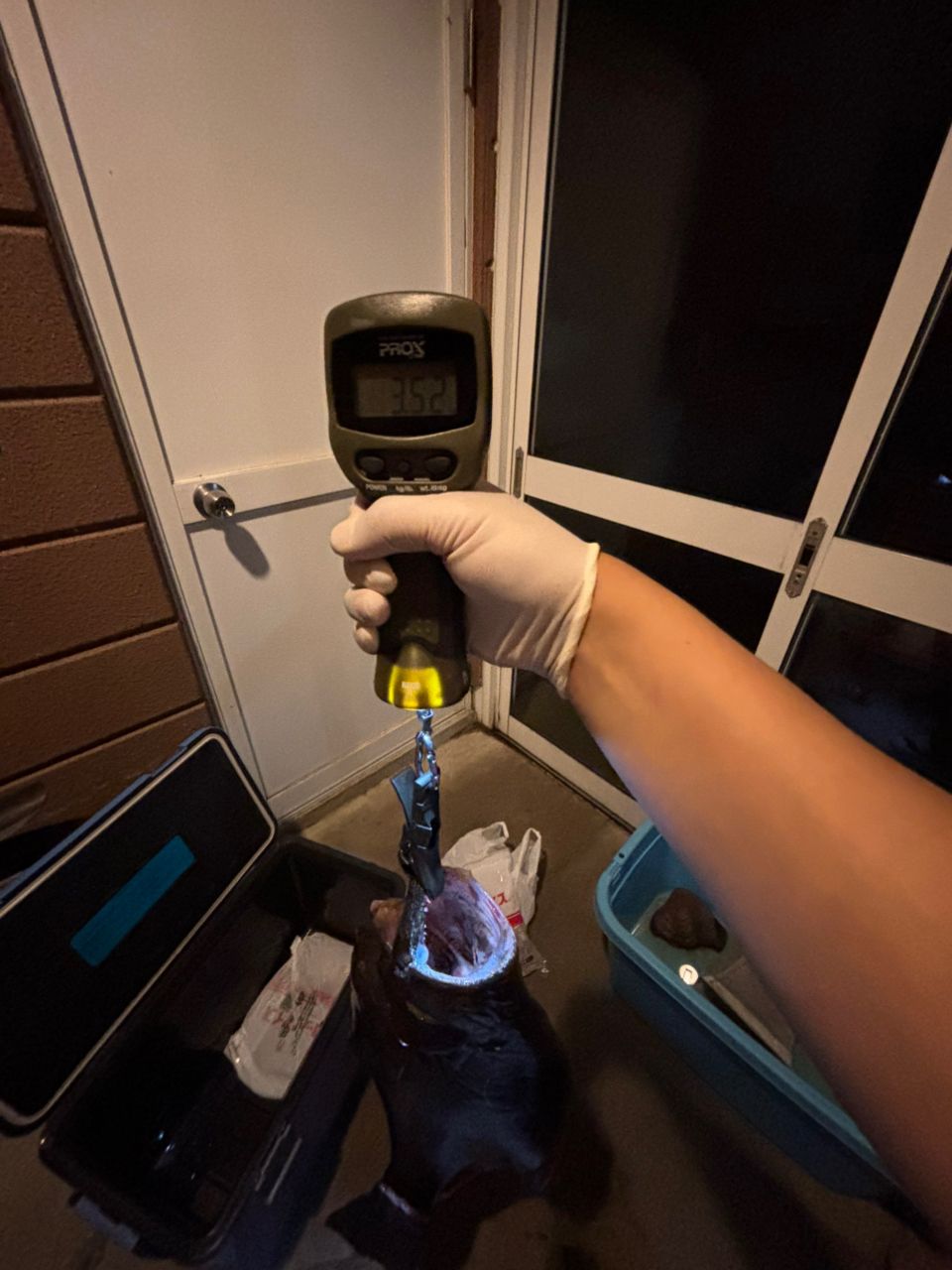 す〜ちゃまさんの釣果 3枚目の画像