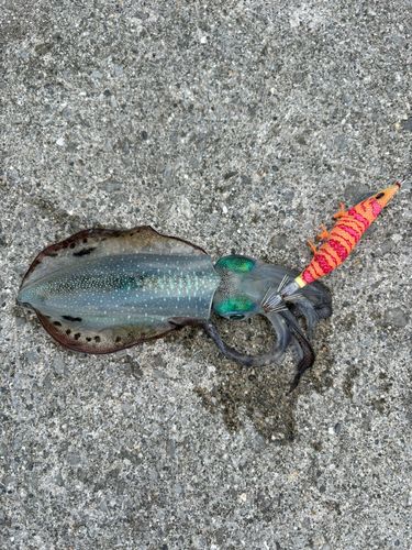 沖縄本島北部