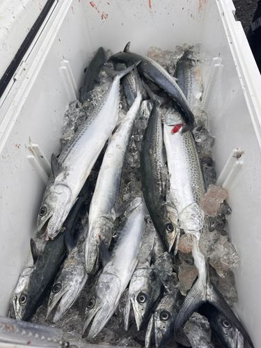 駿河湾