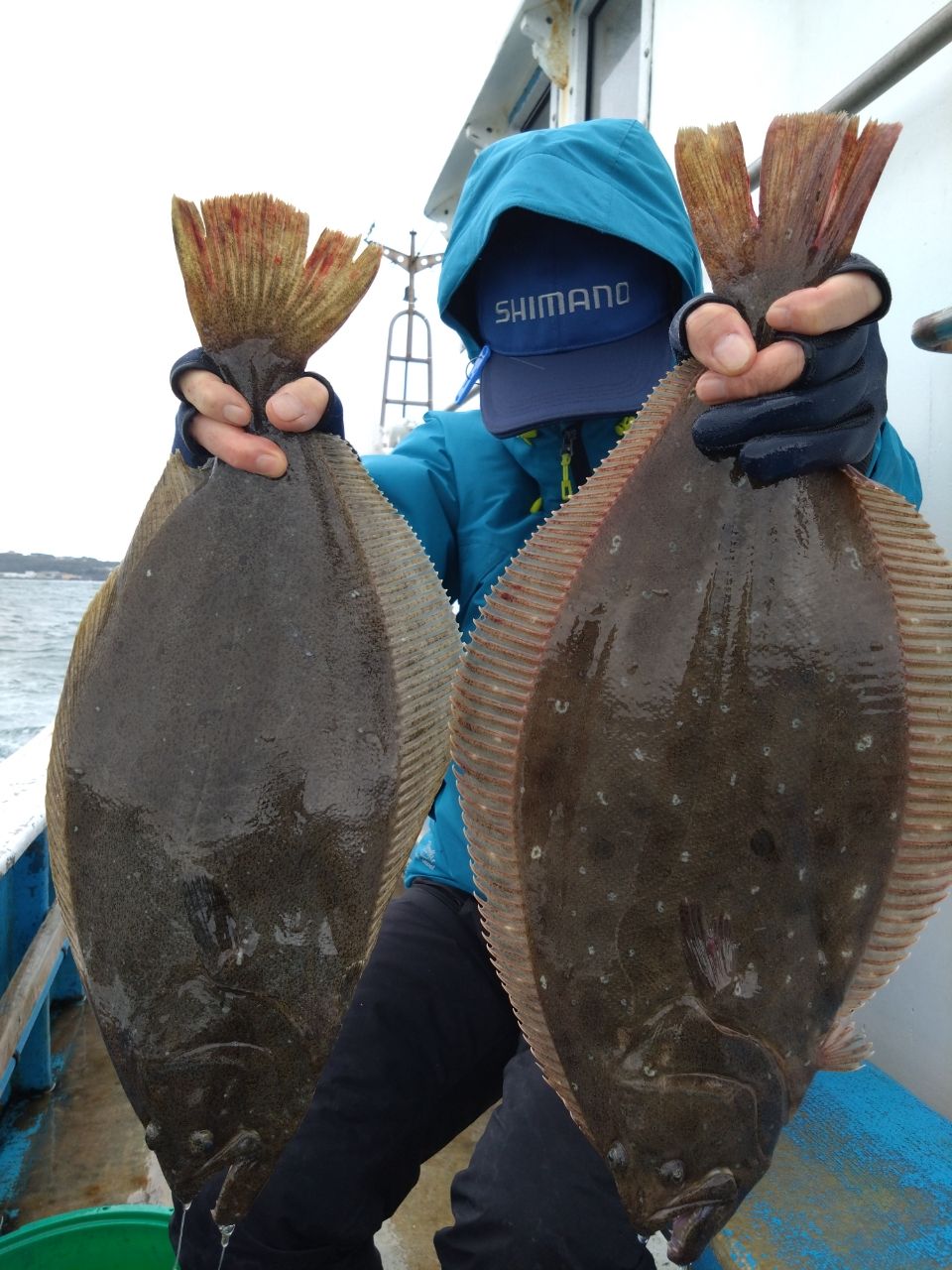 三浦丸　船長さんの釣果 3枚目の画像