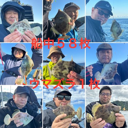 カワハギの釣果