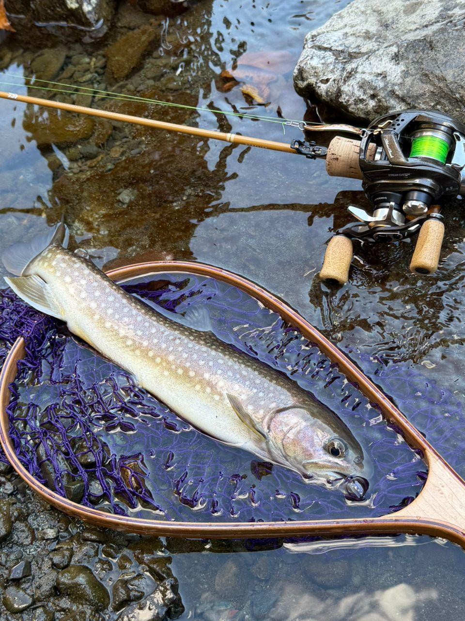 DAIWA 23ピュアリスト 46ULB・Wの最安値・インプレ・釣果 | 本音の