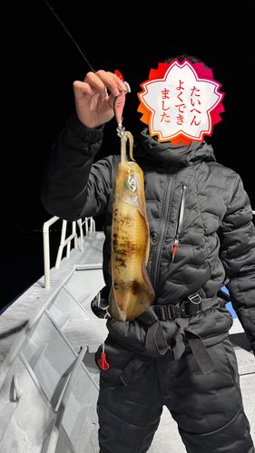 直江津沖