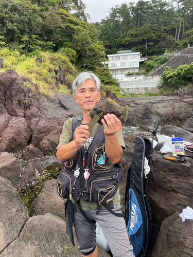 真鶴半島