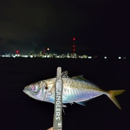 アジ