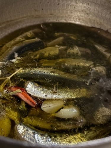 女川湾