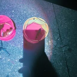 シロメバル