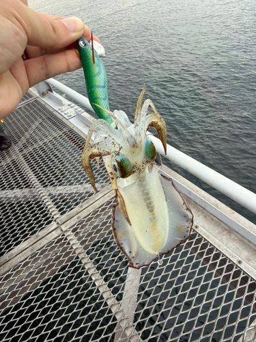 脇田海釣り桟橋