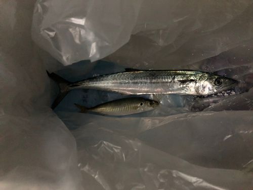 鞠山海遊パーク