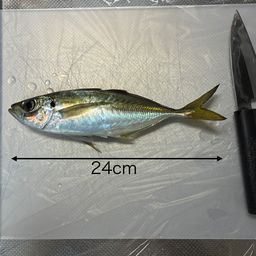 アジ