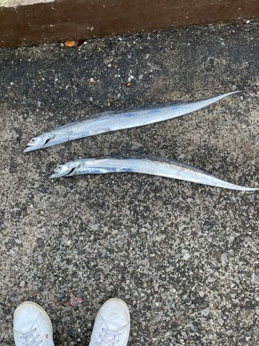 海辺つり公園