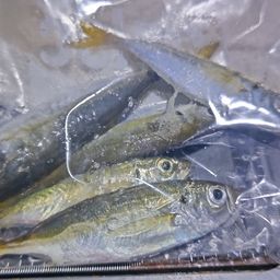 アジ